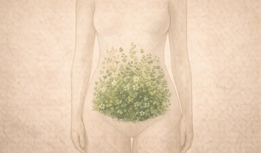 Gut Health And Why Your Stomach Is Not Just About Digestion - фото